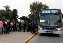 Aumentaron los colectivos un 31%: cuánto cuesta el boleto en el AMBA