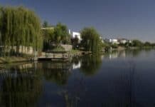 Procesaron al jefe de seguridad de Nordelta por obstaculizar el procedimiento sobre Kovalivker