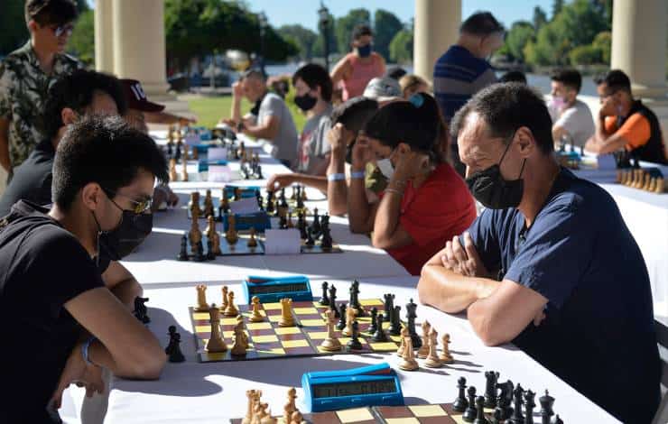 tigre-clases-ajedrez-gratuitas-plazas