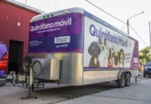 Campana castró a más de 4.300 mascotas de forma gratuita en 2025