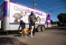 Castraciones gratuitas de mascotas en Las Praderas