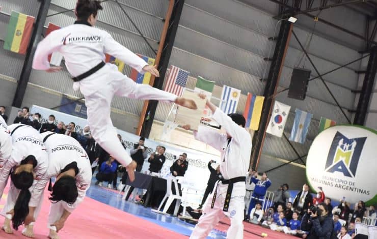 malvinas-torneo-sudamericano-taekwondo-gyeonggi