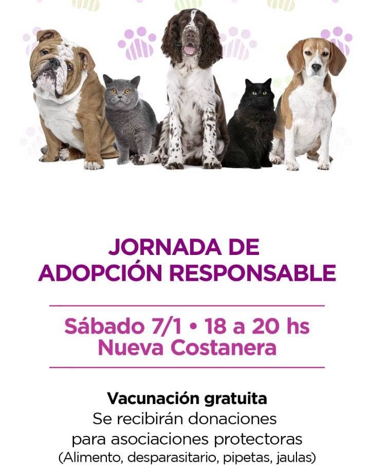 campana-flyer-jornada-adopcion-mascotas