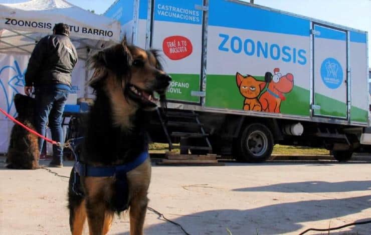 san-miguel-quirofano-zoonosis san-miguel-quirofano-zoonosis