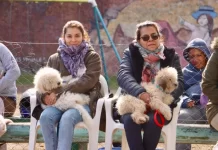 Contunúan los operativos de castración de zoonosis en San Miguel