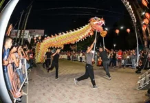 Festejos por el Año Nuevo Chino y Peatonal de Verano en Matheu