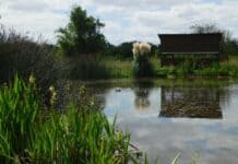 Verano en la Reserva Natural Urbana de San Miguel san-miguel-reserva-natural-urbana-el-corredor