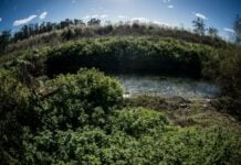 Avanza el proyecto para la primera reserva ecológica de San Martín