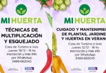 Dos nuevas charlas gratuitas del Programa “Mi Huerta” campana-flyer-charlas-mi-huerta