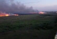 Siguen activos los incendios en el Parque Nacional Ciervo de los Pantanos