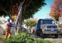 Todavía hay tiempo para abonar con descuento la tasa municipal de Quilmes quilmes-mayra-mendoza-operativo-poda