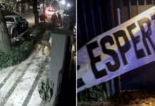 Detuvieron a una militante de La Cámpora de Vicente López por tirar bosta en la casa de Espert