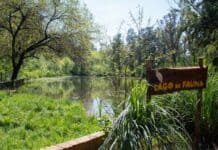 Qué se puede hacer gratis este fin de semana en Moreno?