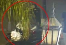 Cámaras del CIMoPU permitieron frustrar un robo y detener al delincuente