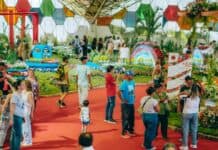 Pasaron el día de Escobar al 9 de octubre: finde XXL y entrada gratis a la Fiesta Nacional de la Flor