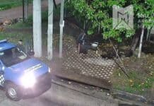 Un joven fue aprehendido tras ingresar a una vivienda trepando el paredón en Malvinas Argentinas
