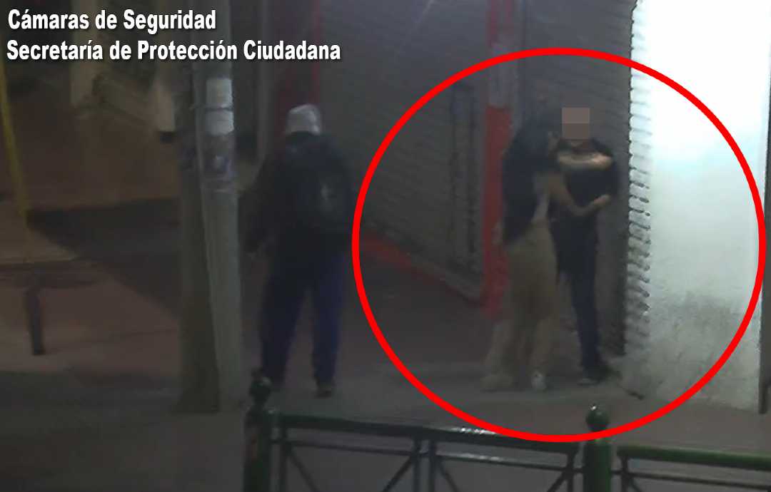 tigre-seguridad-camara-violencia-genero-via-publica