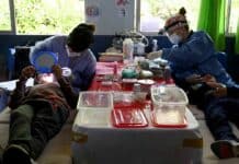 En el Delta, más de 300 niños y niñas participaron de una nueva edición del programa municipal “Sonríe Tigre”