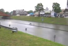 Temporal trágico: inundación, árboles caídos y un taxista muerto en la General Paz