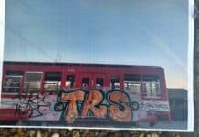 La Policía Federal desarticuló en el norte del conurbano una banda acusada de vandalizar trenes de la línea Mitre