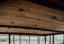 “Pulso natural”: El evento en Pilar que fomenta el bienestar y la solidaridad