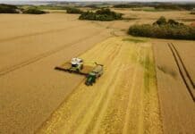 ARBA prorrogó vencimiento del Inmobiliario Rural