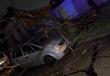 Intensos trabajos en Campana tras el fuerte temporal del domingo a la madrugada