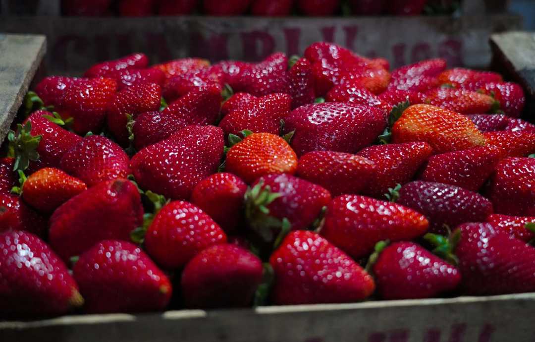 escobar-fiesta-de-la-frutilla