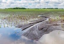 La provincia otorga beneficios impositivos a campos de distritos afectados por eventos climáticos