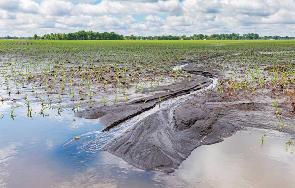 provincia-arba-exenciones-campos-inundados