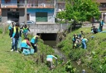 Tigre realizó un importante operativo ambiental en El Talar