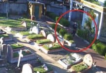 Ladrón de tumbas detenido al ser captado por las cámaras en Vicente López