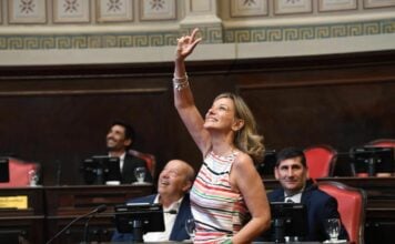 Malena Galmarini: “La reforma tiene más que ver con la de la Banelco que con una modernización real del mundo del trabajo” InfoBAN