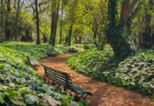 La Ciudad de Buenos Aires cuenta con "refugios climáticos" contra el calor