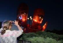 Con una gran fiesta, la Ciudad celebró la restauración de la Floralis Genérica en Recoleta