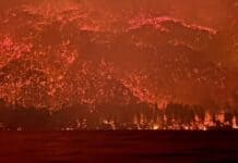 Pirillo apunta contra el abandono ambiental: “Basta de bosques en cenizas”