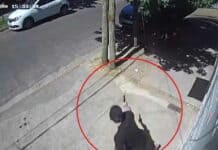 Un policía retirado custodio de un comercio de Caseros fue baleado en un intento de asalto y está grave