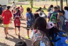 Tigre lleva adelante el programa "Escuela de Verano 2026"