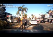 Pacheco: Un vehículo chocó a otro en plena avenida, uno de ellos volcó y ocasionó la caída de una palmera