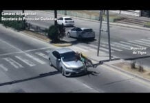 Tigre: cruzó imprudentemente la Ruta 197 varias veces y terminó arrollado frente a las cámaras