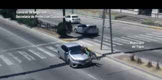 Tigre: cruzó imprudentemente la Ruta 197 varias veces y terminó arrollado frente a las cámaras InfoBAN