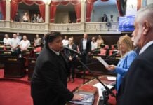 Mario Ishii es el nuevo vicepresidente primero del Senado bonaerense