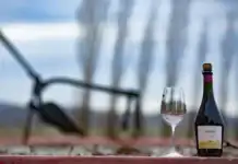 Propuestas para conocer y disfrutar en marzo las bodegas bonaerenses