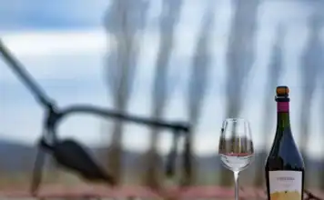 Propuestas para conocer y disfrutar en marzo las bodegas bonaerenses InfoBAN
