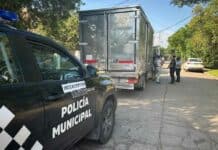 Los grabaron con un celular tirando basura en la vía pública: fueron identificados y sancionados