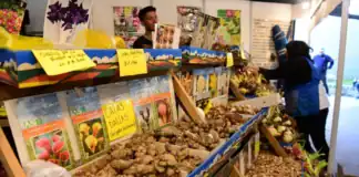 El Mercado de Productos Familiares vuelve a Belén de Escobar InfoBAN