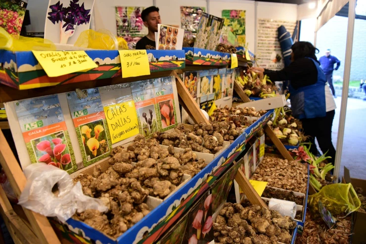 mercado-productos-familiares-escobar