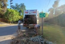 Cronograma del sistema municipal de recolección de ramas para esta semana