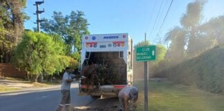 Cronograma del sistema municipal de recolección de ramas para esta semana InfoBAN