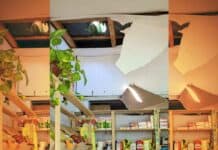 Otro robo "boquetero" en Matheu tras liberación de dos sospechosos